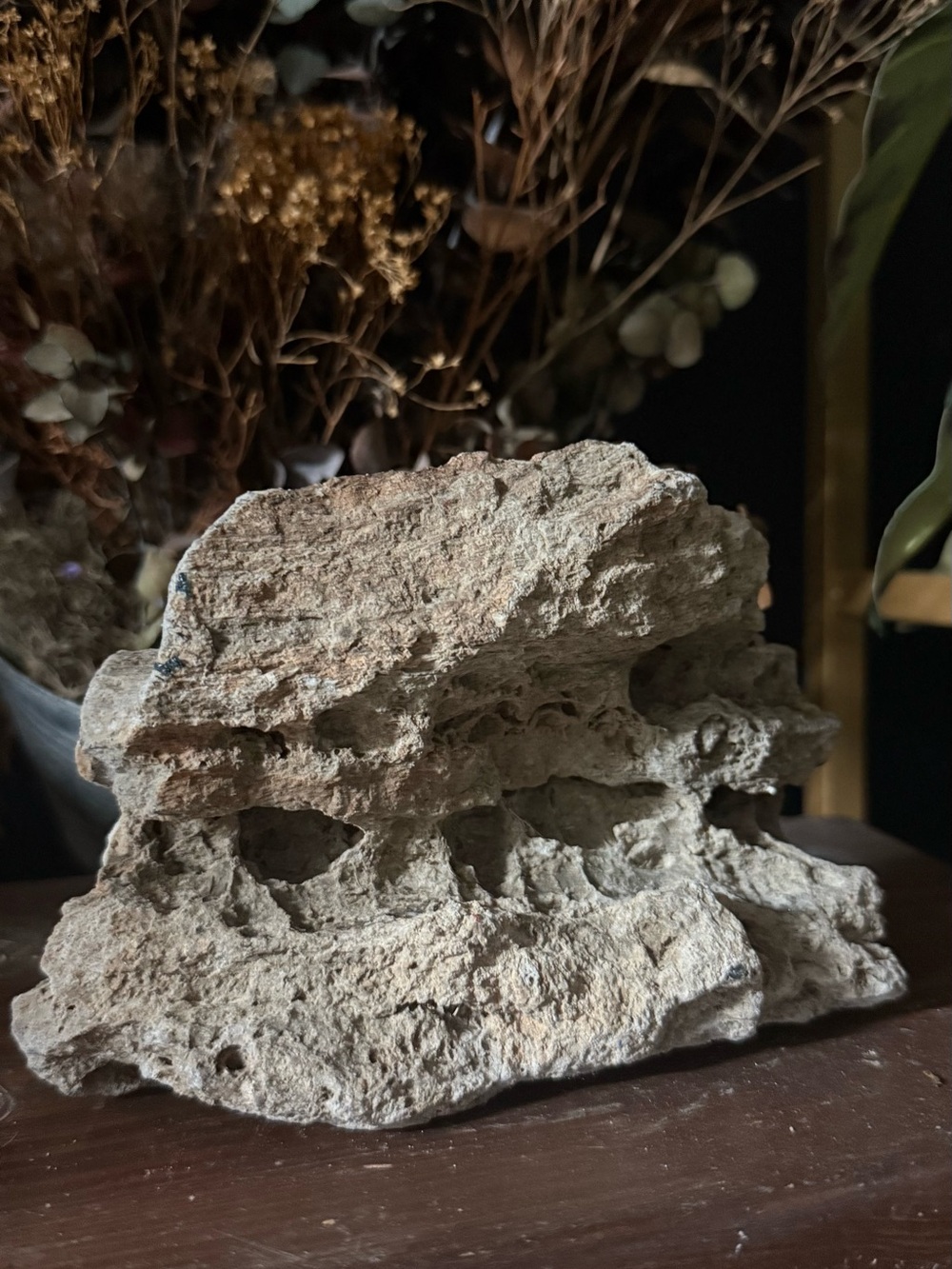 Natural Sculpted Coral Rock Accent - Beige Decorative Home Art